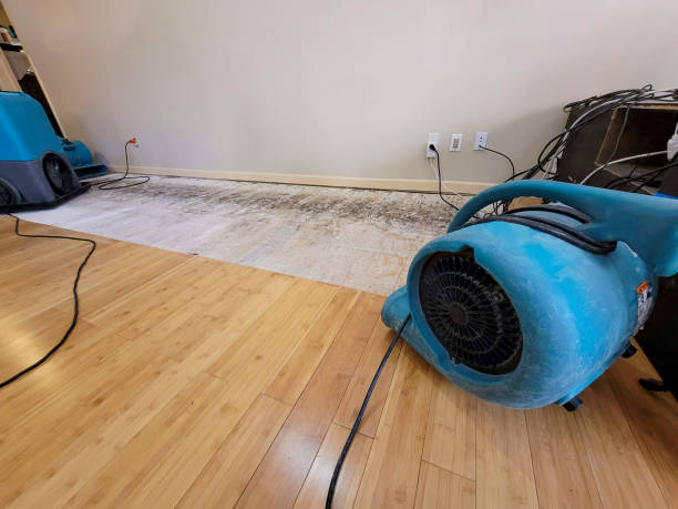 Professional Structural Drying technician working in Hutchins, TX